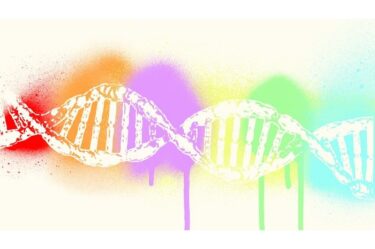 内気な性格を直したい人がやることは慣らすことです