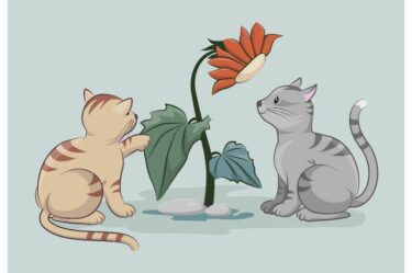 試合で緊張しない方法は自己暗示です【強メンタルへ】