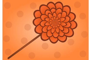 勉強の効率を考えるよりもとにかく反復学習した方が良いと思う話