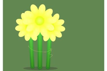 自分で決めたことだけは楽な方に逃げるのはやめた方が良いよな
