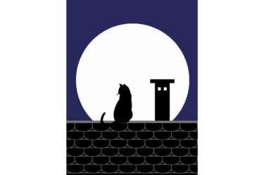 嫉妬をなくす方法は自分自身に目を向けることです【自分を高めよう】