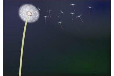 読書の楽しみ方は一旦ざっくりと読んでみることだよな