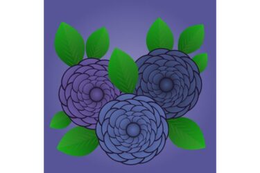 人の言うことを聞かない人に対しては何を言っても無駄だという事実